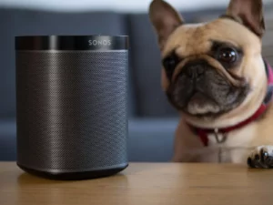 a dog sitting next to a sonos speaker on a table